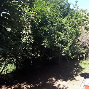 https://la-casa-di-mango-e-pistacchio.it-lombardy.com