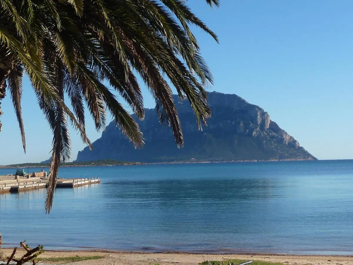 Frina Di Mari B&B San Teodoro  Bed & Breakfast