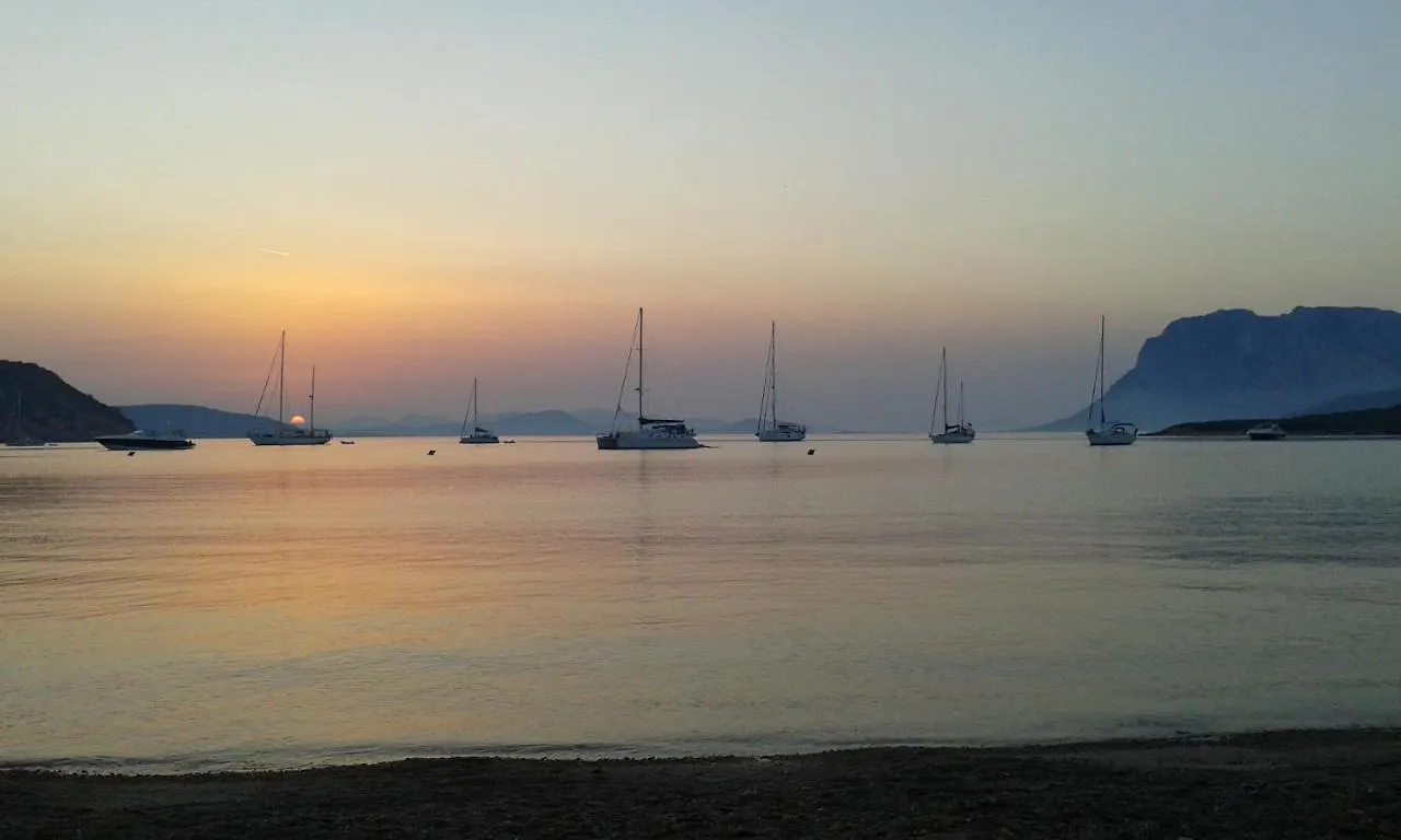 Bed & Breakfast Frina Di Mari B&B San Teodoro