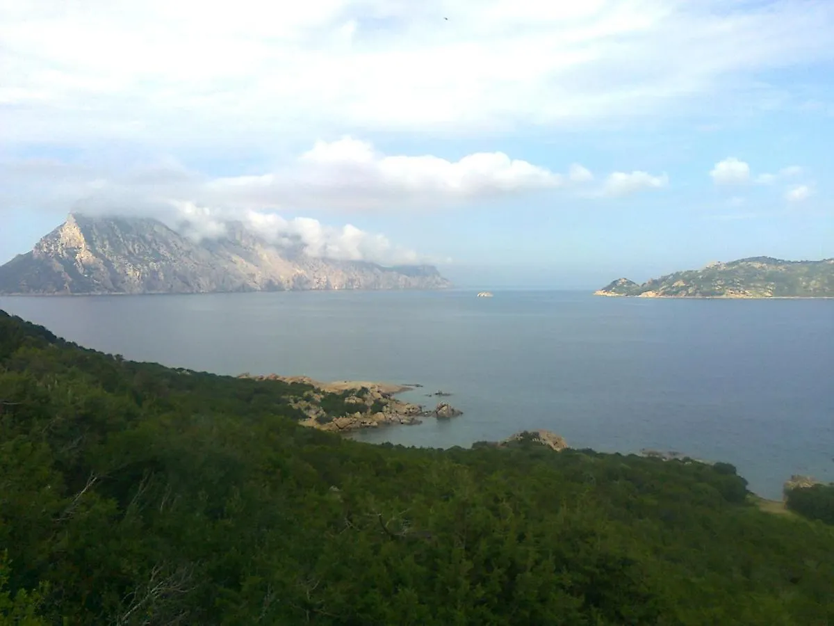 Frina Di Mari B&B San Teodoro  Italien