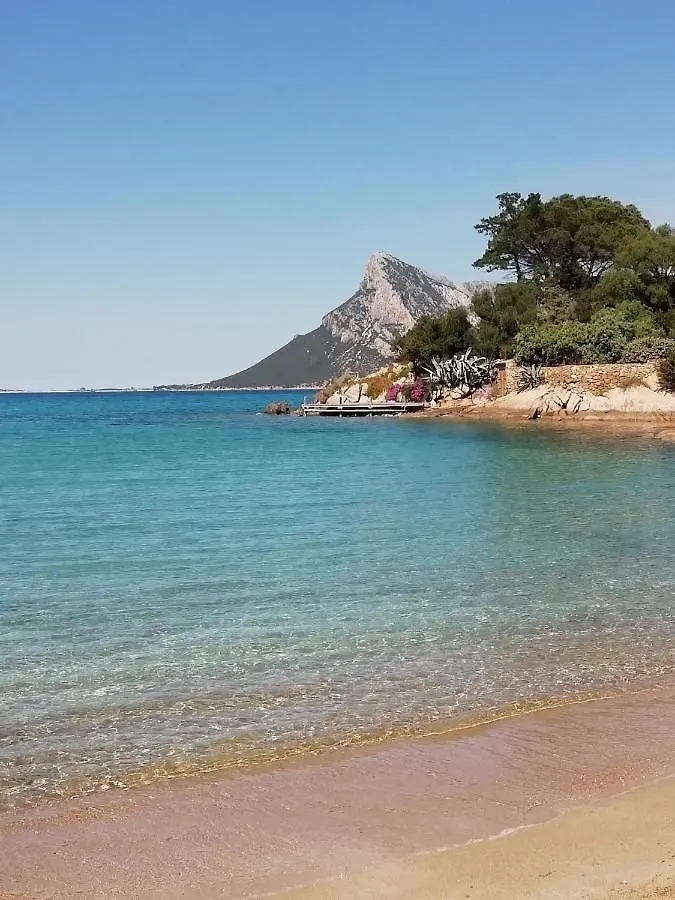 Frina Di Mari B&B San Teodoro  San Teodoro (Sardinia)