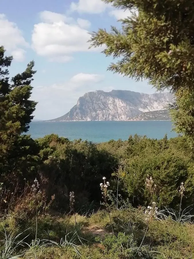 Frina Di Mari B&B San Teodoro  0*, San Teodoro (Sardinia) Italien